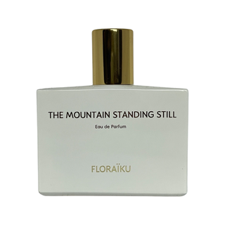 The Mountain Standing Still